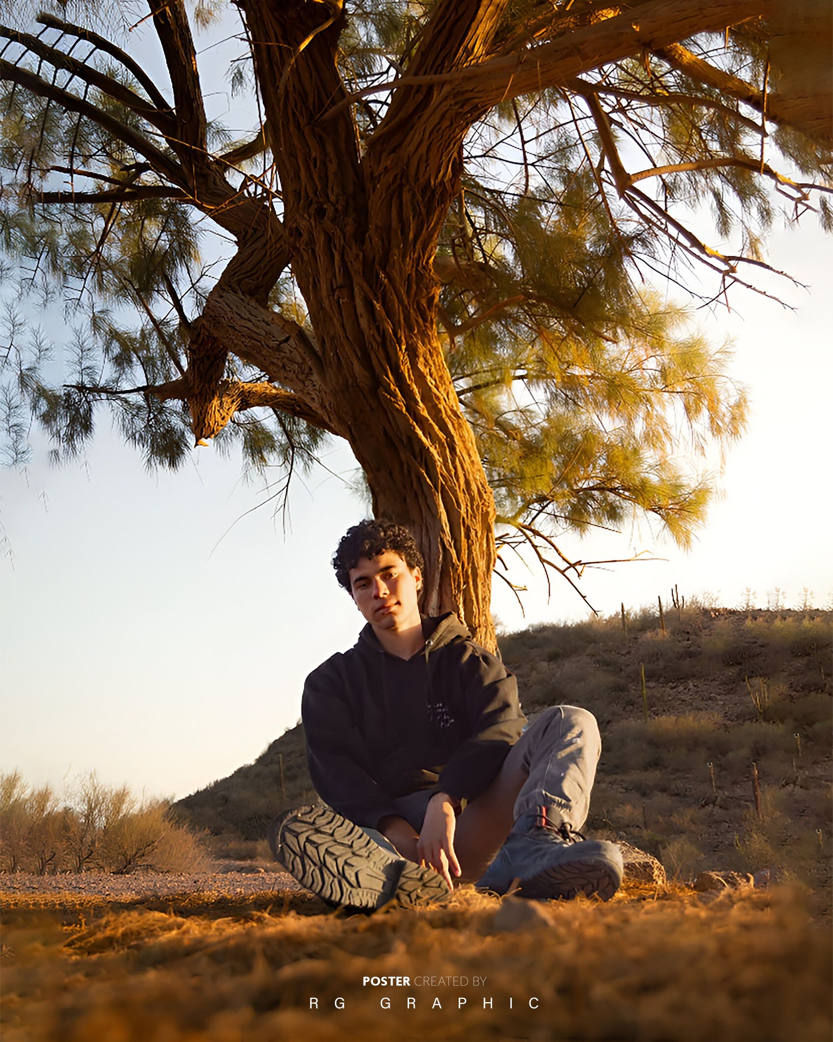Desert Solitude at Golden Hour