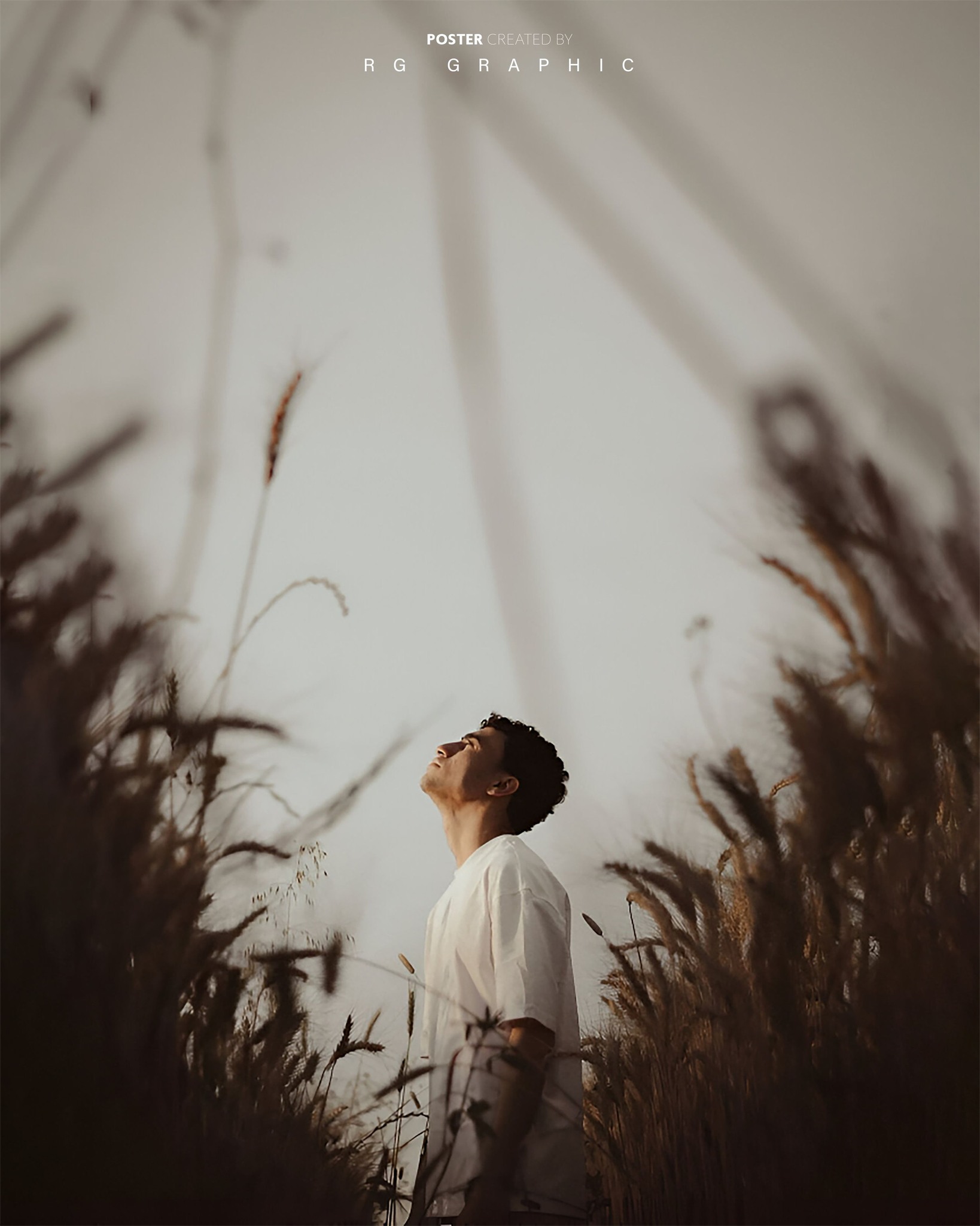 Golden Serenity in the Sunlit Fields