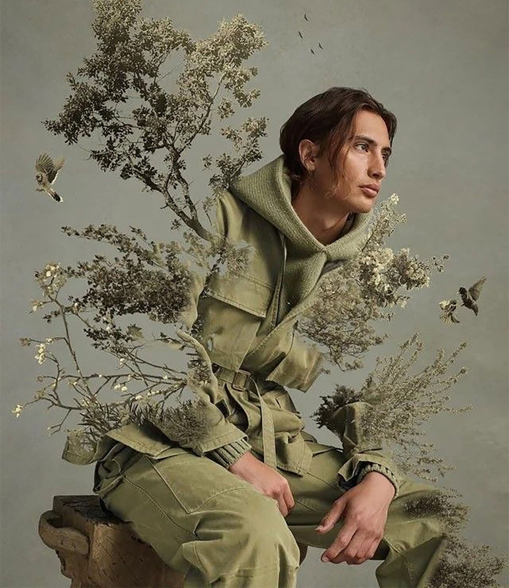 Soft Sage Fusion Editorial