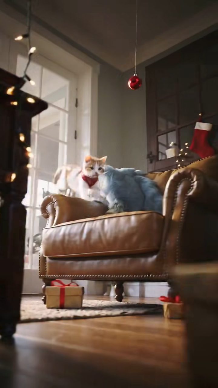 Cinematic Christmas Kitten Chaos
