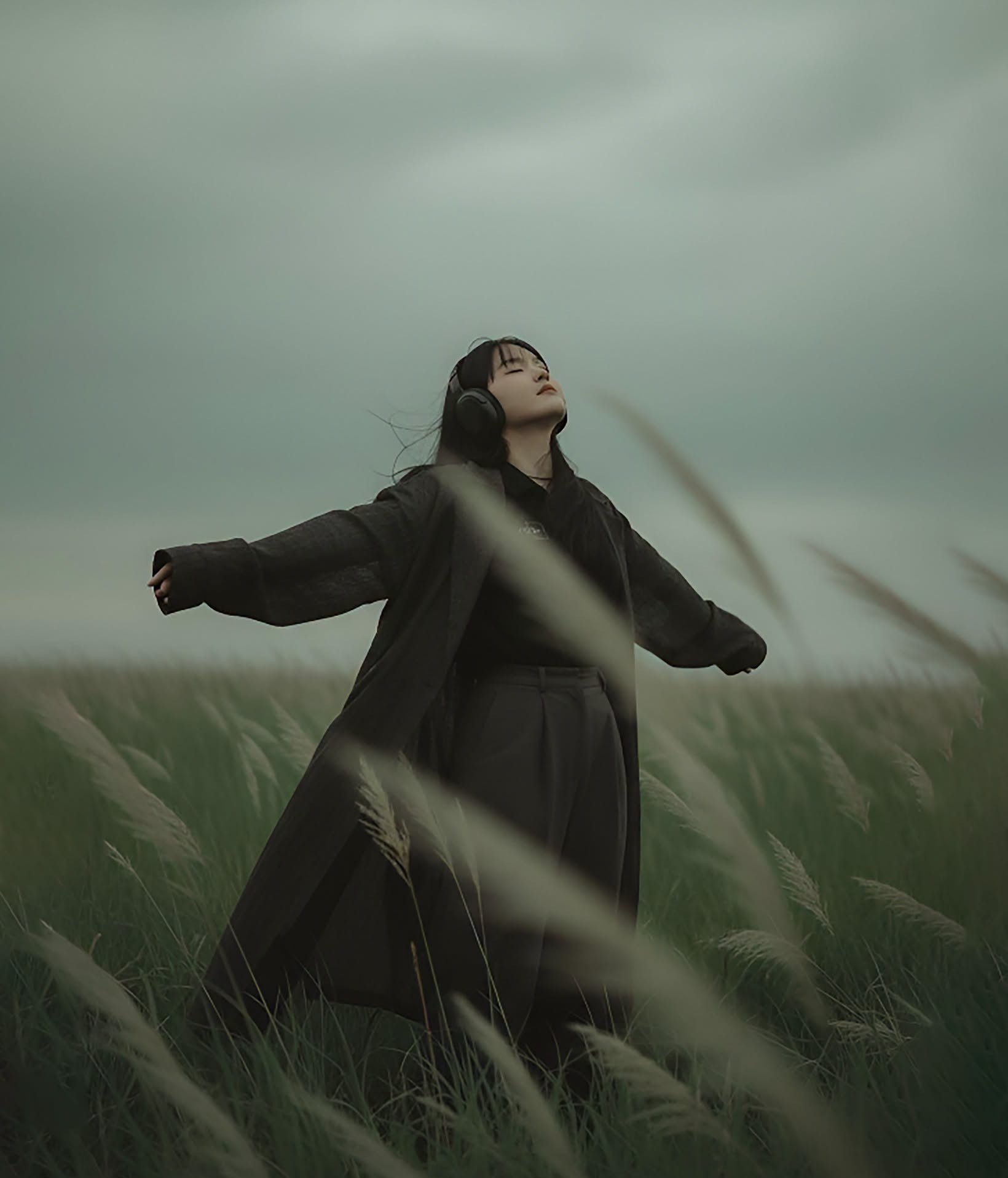Windswept Field Reverie