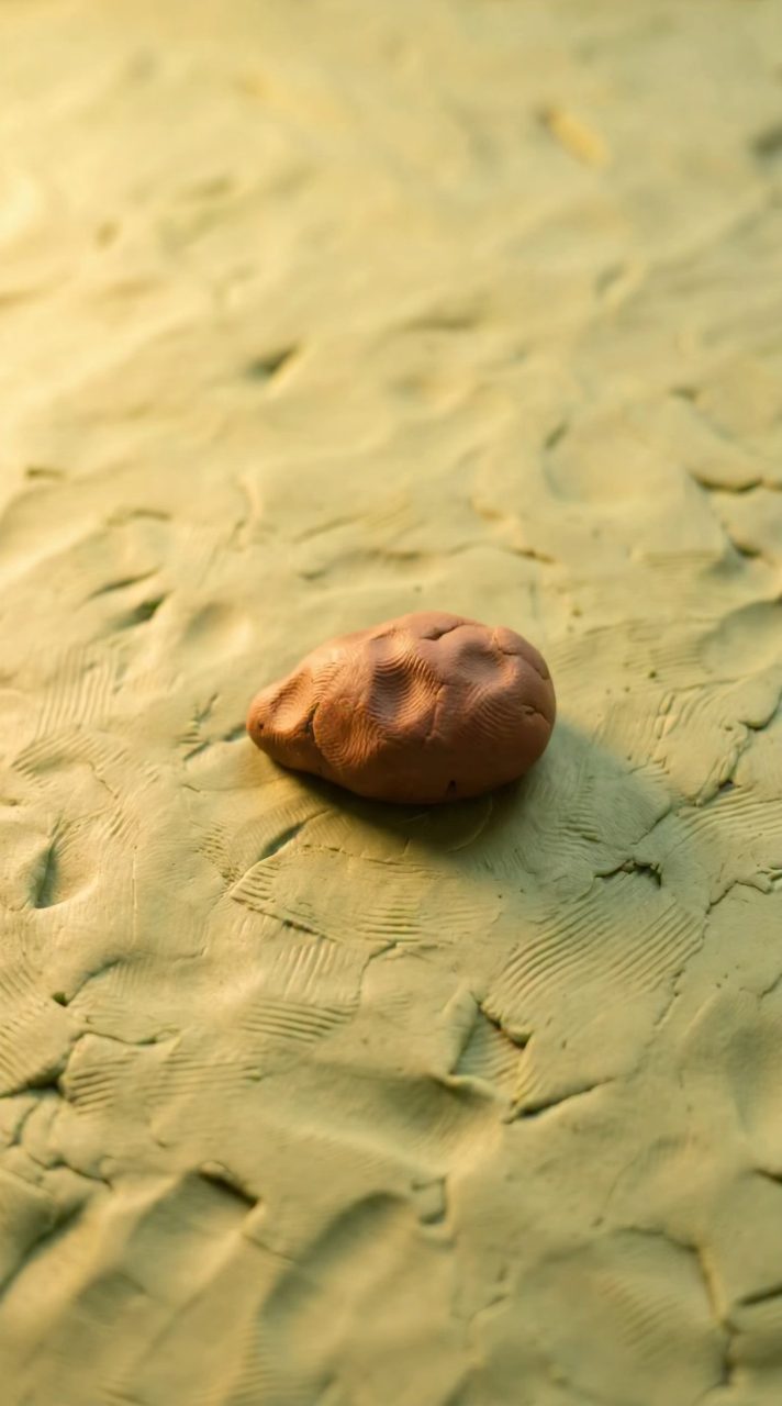 Claymation Seed to Smiling Sunflower
