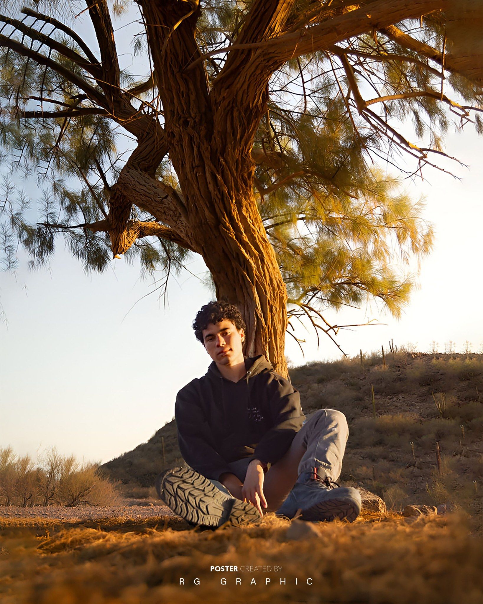 Desert Solitude at Golden Hour