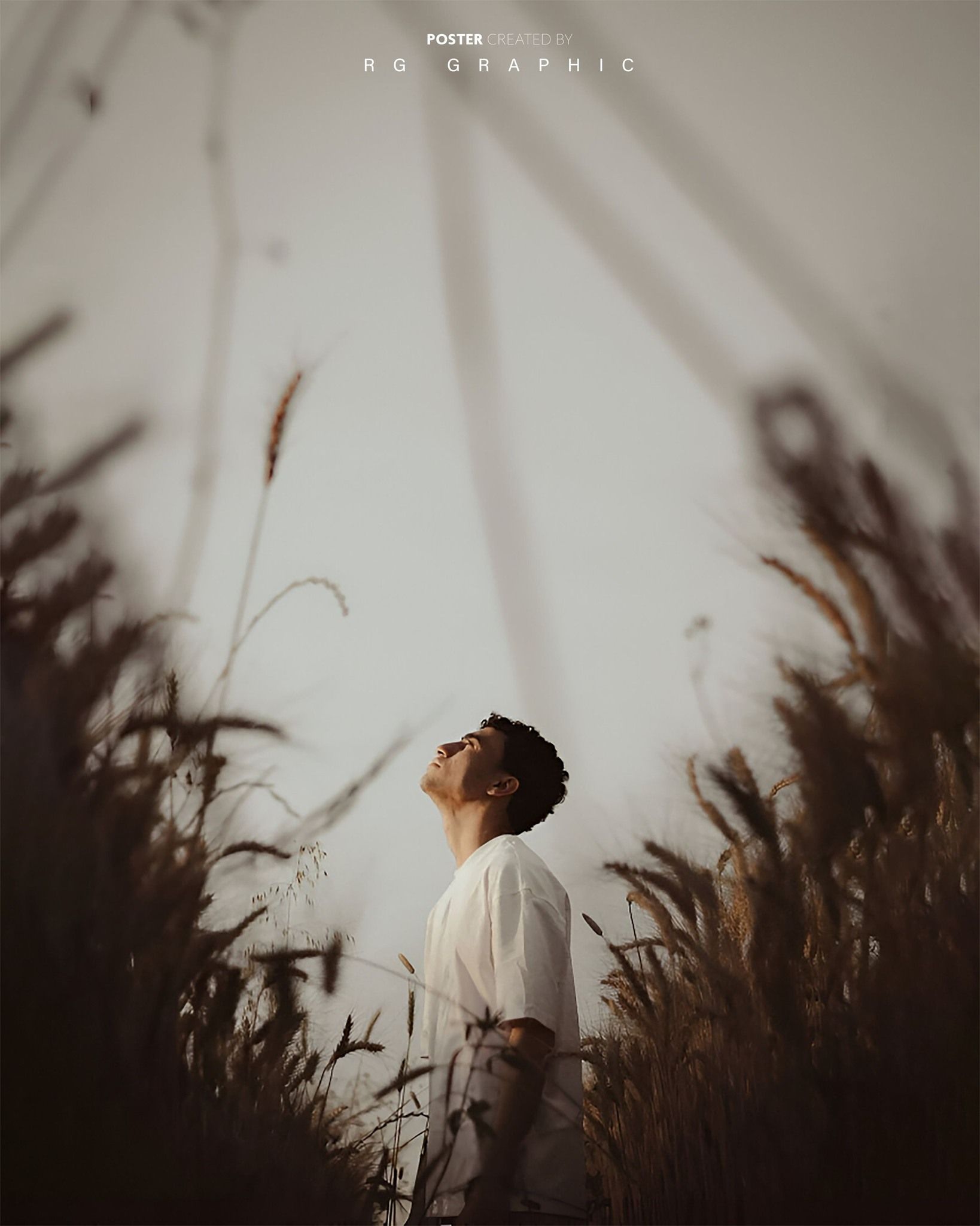 Golden Serenity in the Sunlit Fields