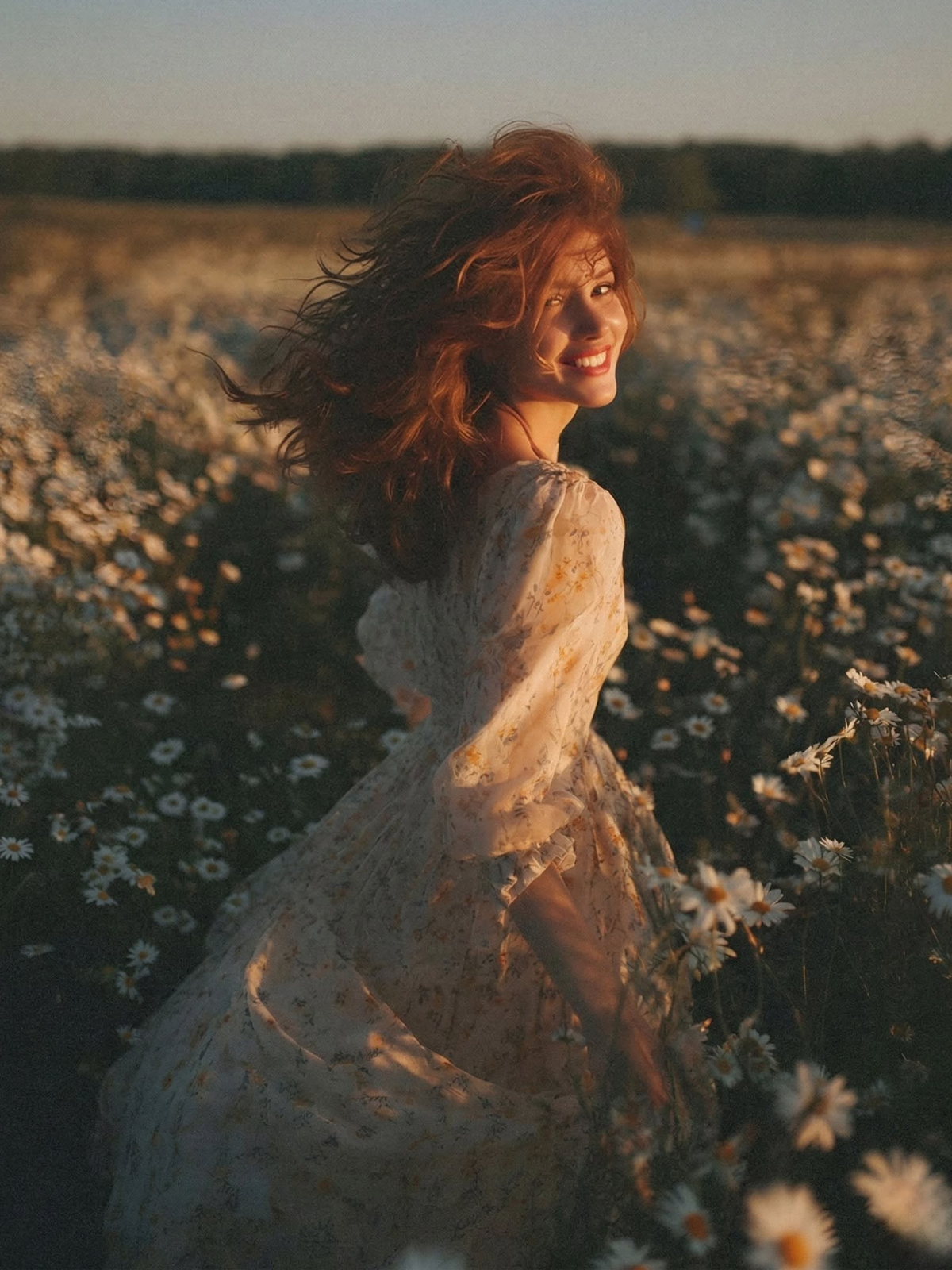 Golden Hour Redhead Daisy Dream