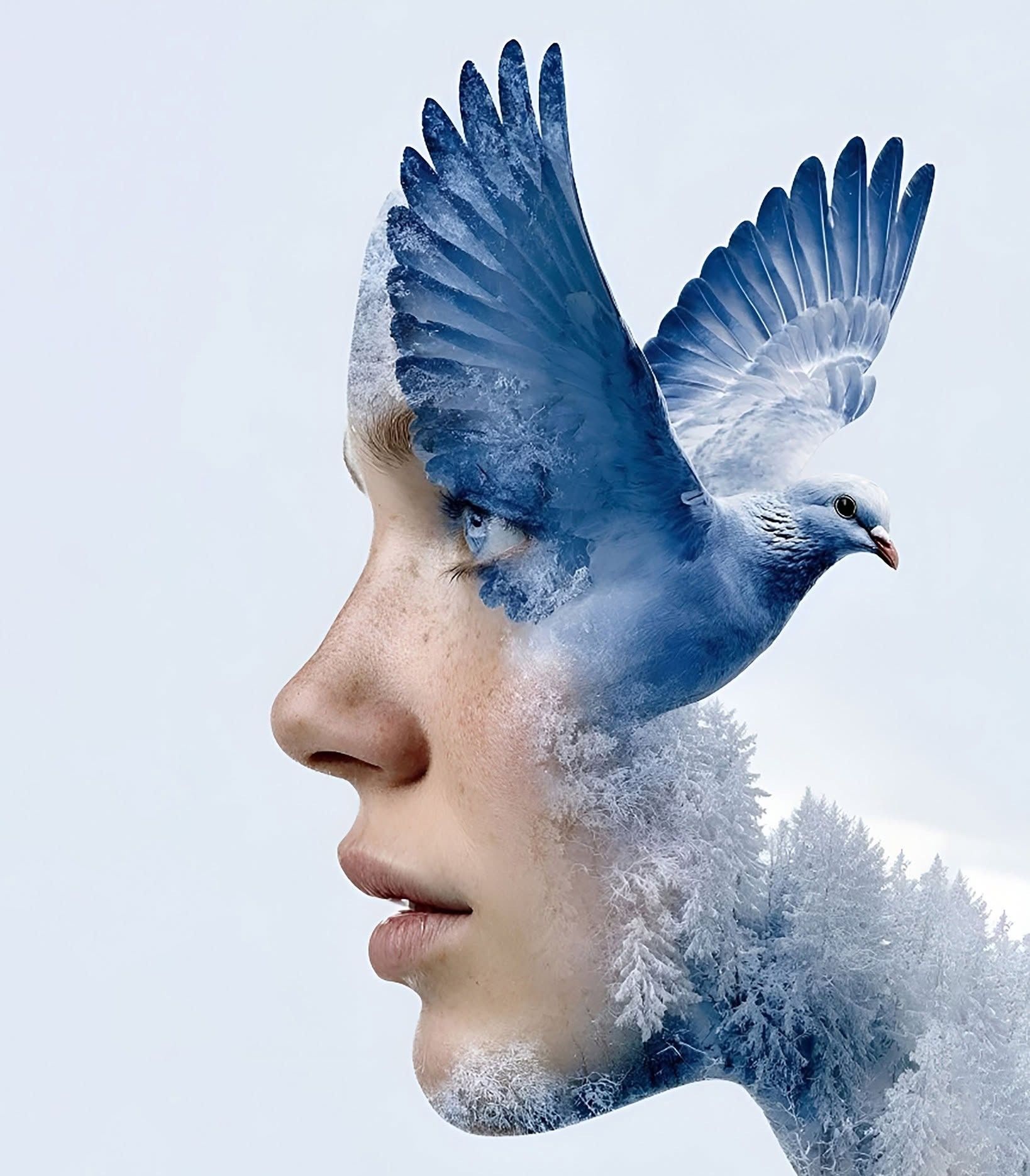 Pigeon Mind Winter Forest Woman