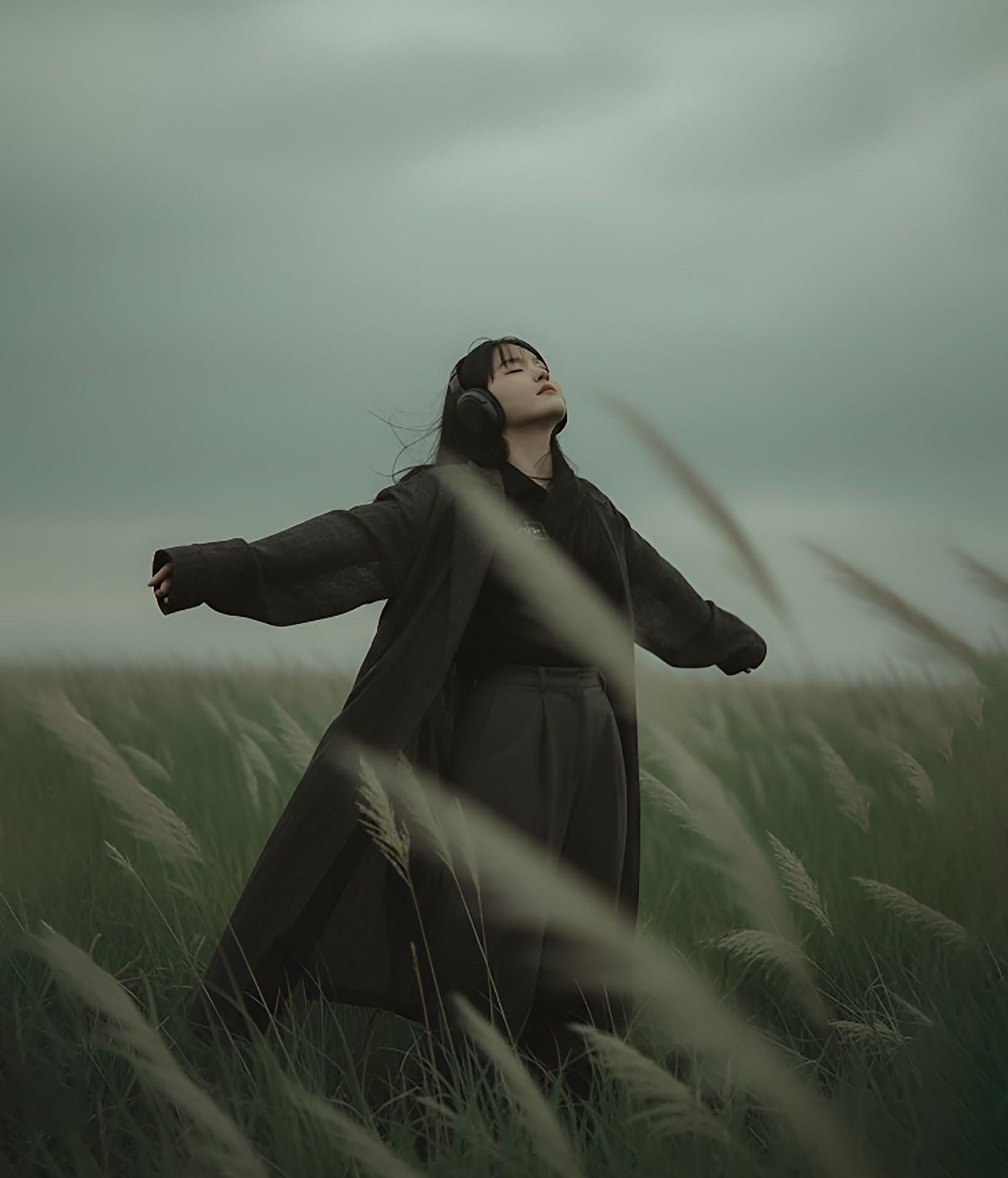 Windswept Field Reverie